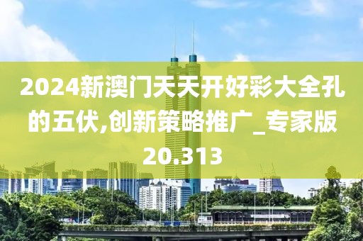 2024新澳門天天開好彩大全孔的五伏,創新策略推廣_專家版20.313