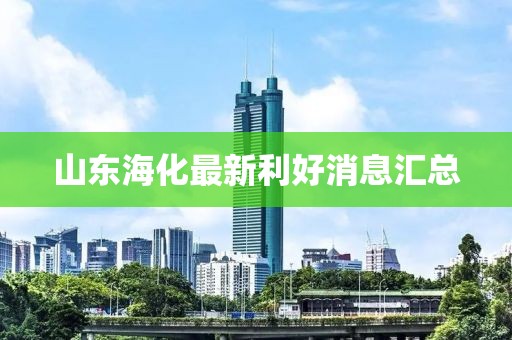 山東海化最新利好消息匯總