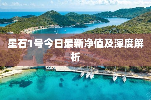 星石1號今日最新凈值及深度解析