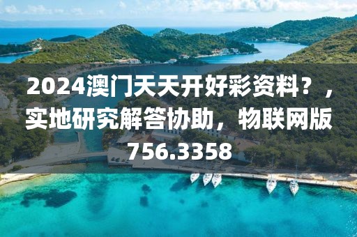 2024澳門天天開好彩資料？，實地研究解答協助，物聯網版756.3358