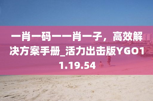一肖一碼一一肖一子，高效解決方案手冊_活力出擊版YGO11.19.54