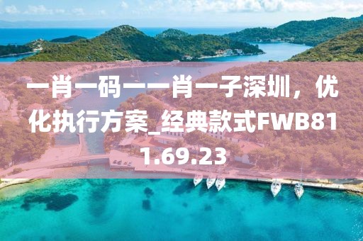 一肖一碼一一肖一子深圳，優化執行方案_經典款式FWB811.69.23