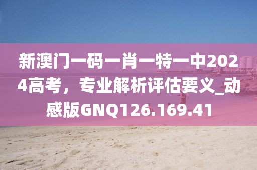 新澳門一碼一肖一特一中2024高考，專業解析評估要義_動感版GNQ126.169.41