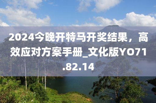 2024今晚開特馬開獎結果，高效應對方案手冊_文化版YO71.82.14