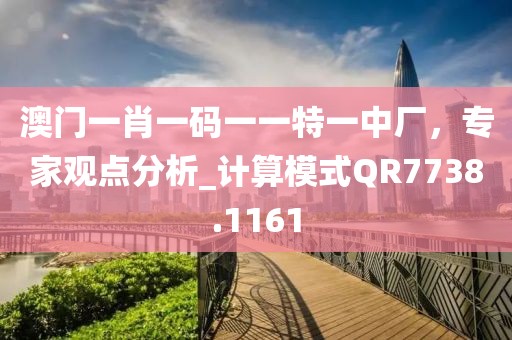 澳門一肖一碼一一特一中廠，專家觀點分析_計算模式QR7738.1161
