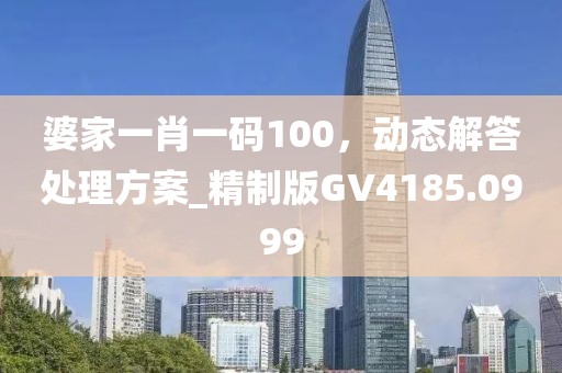 婆家一肖一碼100，動態解答處理方案_精制版GV4185.0999