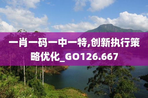 一肖一碼一中一特,創新執行策略優化_GO126.667