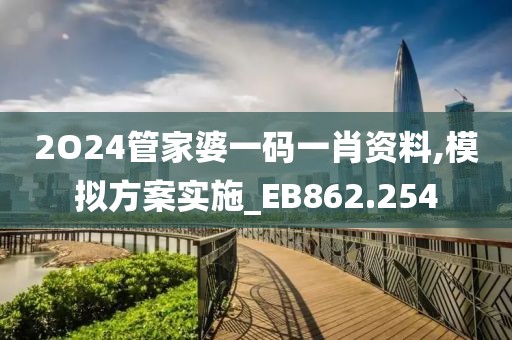 2O24管家婆一碼一肖資料,模擬方案實施_EB862.254