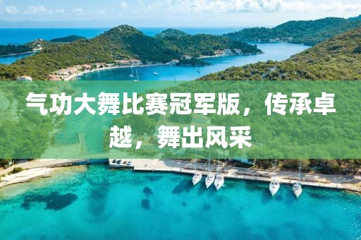 氣功大舞比賽冠軍版，傳承卓越，舞出風采