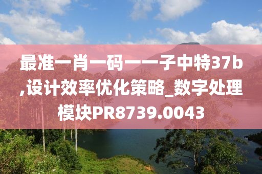 最準一肖一碼一一子中特37b,設計效率優化策略_數字處理模塊PR8739.0043