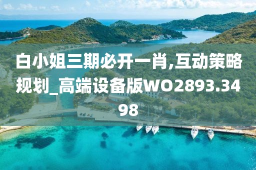 白小姐三期必開一肖,互動策略規劃_高端設備版WO2893.3498