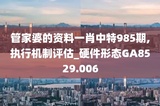 管家婆的資料一肖中特985期,執行機制評估_硬件形態GA8529.006