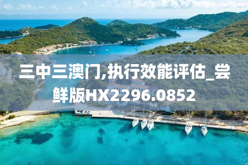 三中三澳門,執行效能評估_嘗鮮版HX2296.0852