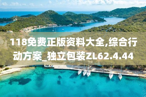 118免費正版資料大全,綜合行動方案_獨立包裝ZL62.4.44
