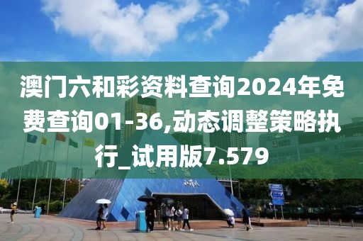 澳門六和彩資料查詢2024年免費查詢01-36,動態調整策略執行_試用版7.579
