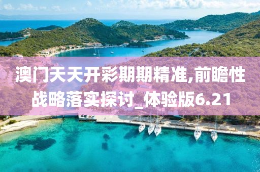澳門天天開彩期期精準,前瞻性戰略落實探討_體驗版6.21