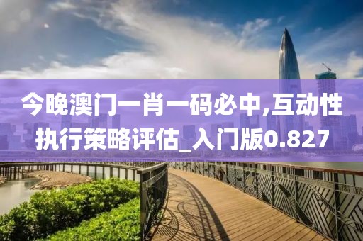 今晚澳門一肖一碼必中,互動性執行策略評估_入門版0.827