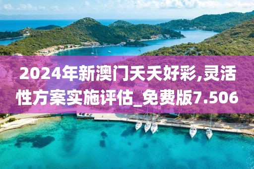 2024年新澳門夭夭好彩,靈活性方案實施評估_免費版7.506