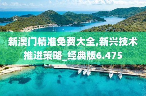 新澳門精準免費大全,新興技術推進策略_經典版6.475