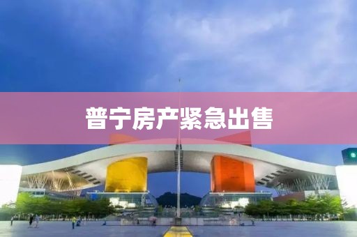 普寧房產緊急出售