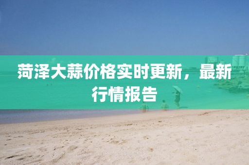 菏澤大蒜價格實時更新，最新行情報告