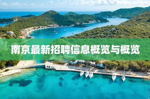 南京最新招聘信息概覽與概覽