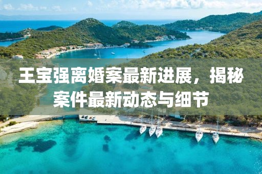 王寶強離婚案最新進展，揭秘案件最新動態與細節
