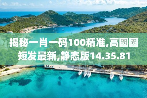 揭秘一肖一碼100精準,高圓圓短發最新,靜態版14.35.81