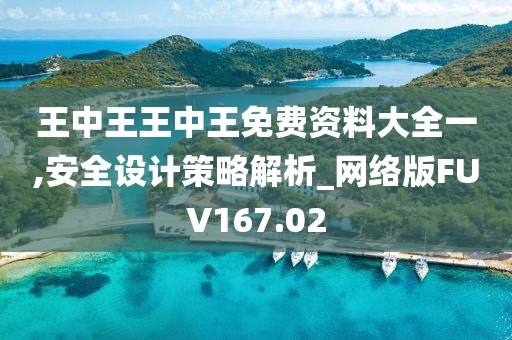 王中王王中王免費資料大全一,安全設計策略解析_網絡版FUV167.02