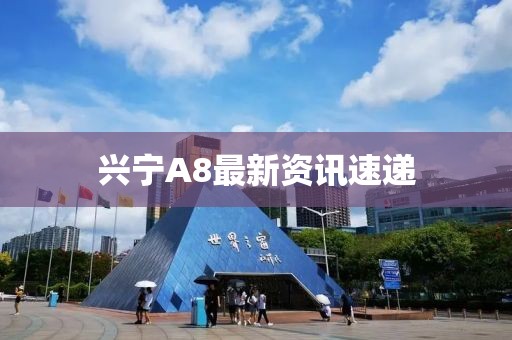 興寧A8最新資訊速遞