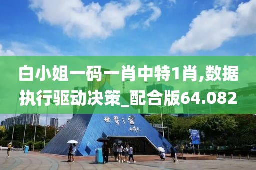白小姐一碼一肖中特1肖,數據執行驅動決策_配合版64.082