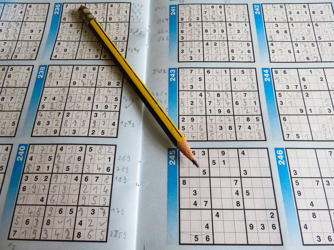 2024澳門天天開彩正版免費資料,全身心數據指導枕_智慧升級版SP90.694